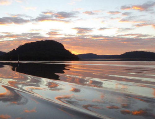 Mirror Waves Mooney Mooney – Berowra Valley National Park